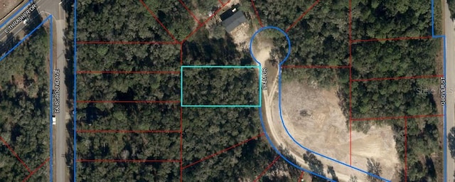 155 Palm Dr, Bronson FL, 32621 land for sale