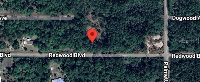 324 Redwood Blvd, Georgetown FL, 32139 land for sale