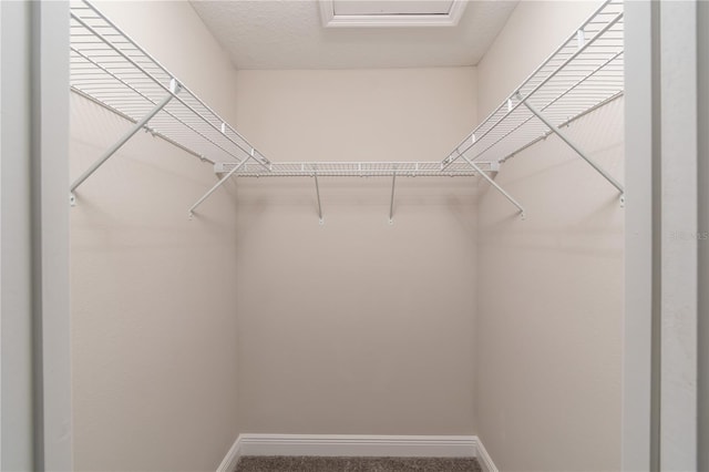 spacious closet with carpet