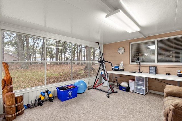 workout area with carpet floors