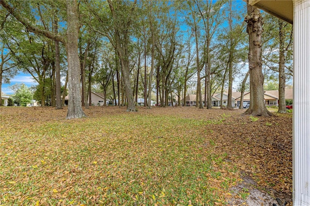 view of yard with a residential view