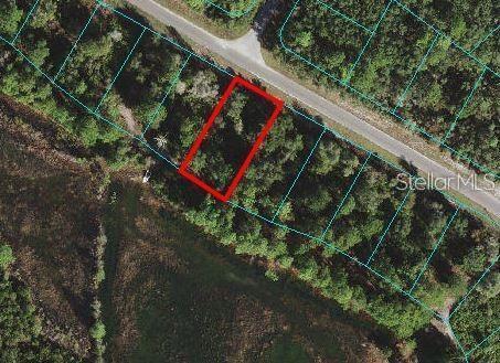 LOT45 Fisher Way, Ocklawaha FL, 32179 land for sale