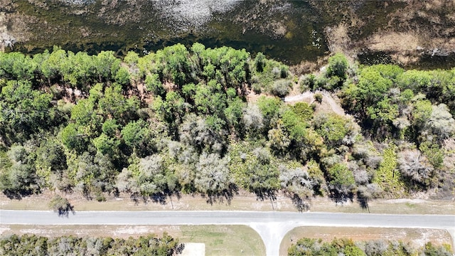 Listing photo 3 for LOT45 Fisher Way, Ocklawaha FL 32179