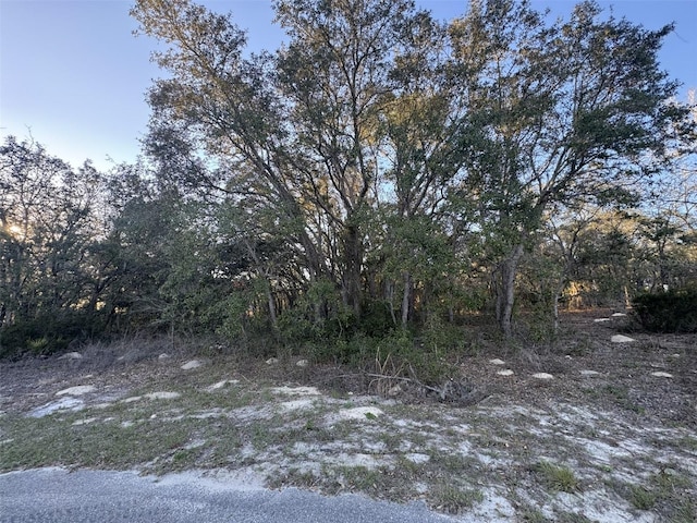 0 SW 147th Street Rd, Ocala FL, 34473 land for sale