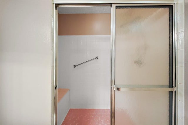 bathroom with tile patterned flooring and a shower stall