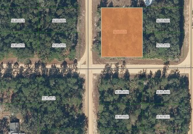 00 Norman Ave, Interlachen FL, 32148 land for sale