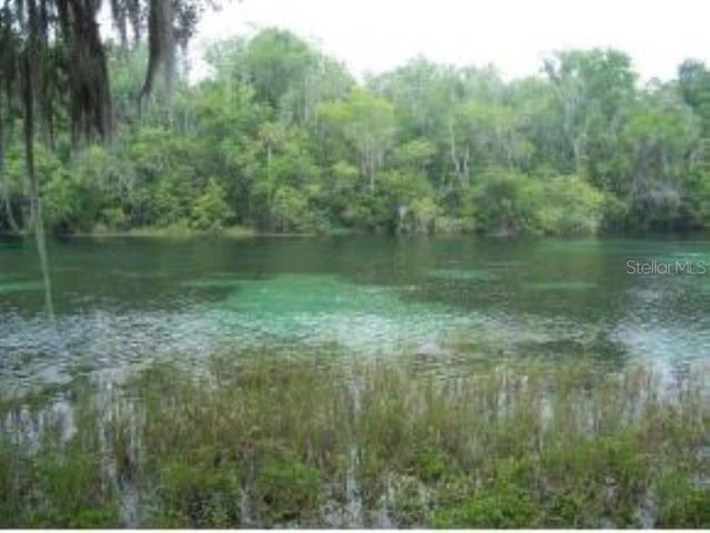 water view featuring a view of trees