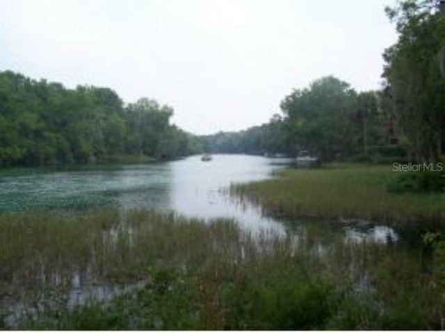 view of water feature with a wooded view