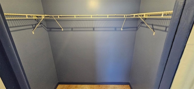 31 Roosevelt Blvd, Beverly Hills, FL 34465 - view of closet