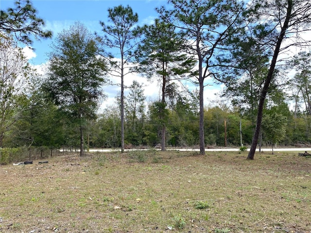 00 NE 142nd Ct, Williston FL, 32696 land for sale