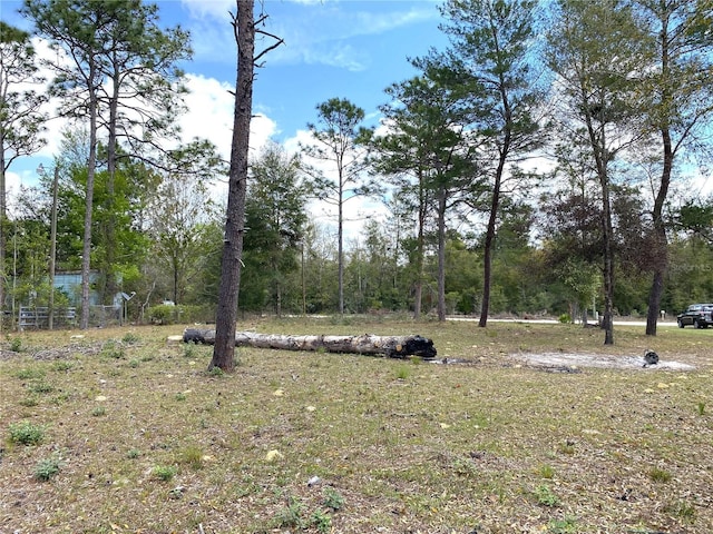 Listing photo 3 for 00 NE 142nd Ct, Williston FL 32696