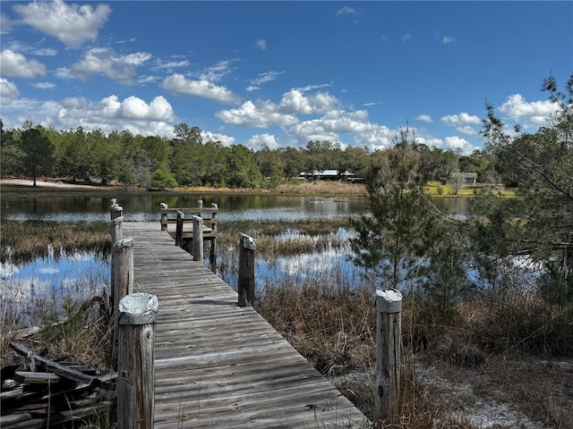 view of dock with a water view