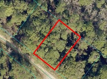 00 Locust Pl, Ocala FL, 34472 land for sale