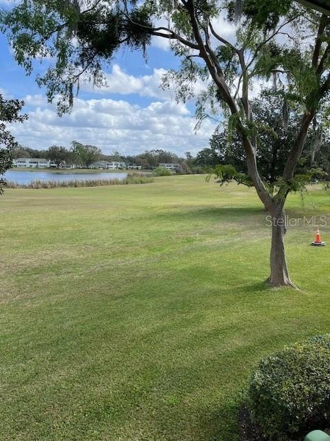 surrounding community featuring a yard and a water view