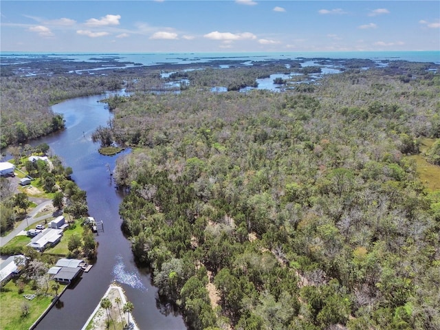 birds eye view of property featuring a forest view and a water view