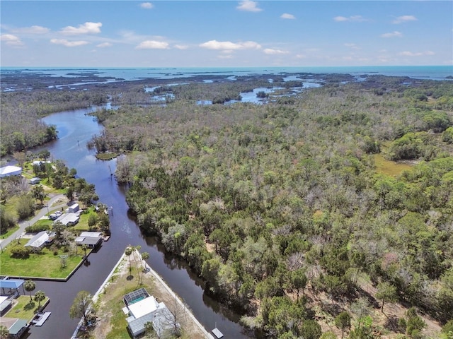 birds eye view of property with a view of trees and a water view