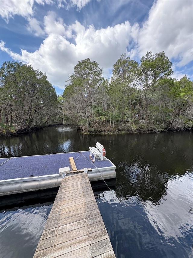 dock area with a water view