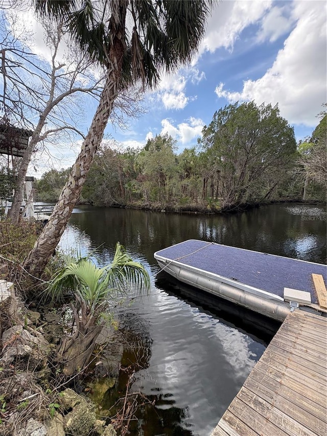 dock area featuring a water view