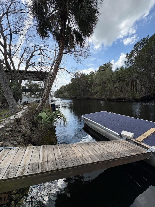 dock area featuring a water view