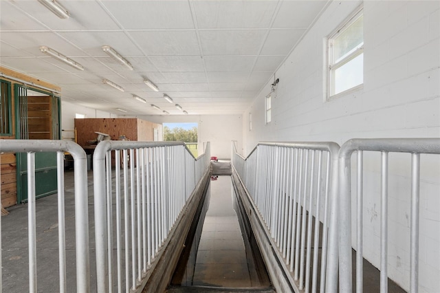 hallway with plenty of natural light