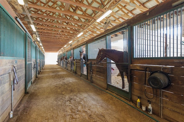 view of stable