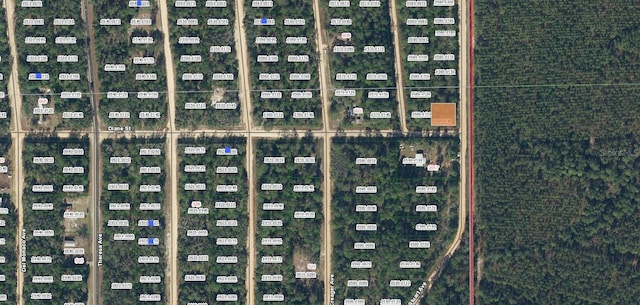 Diane St, Interlachen FL, 32148 land for sale