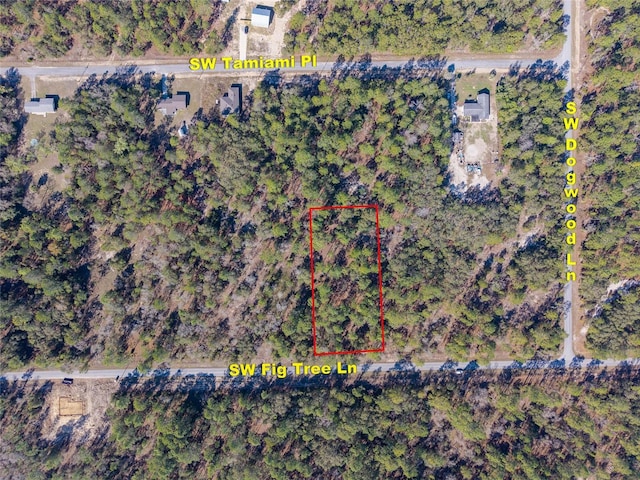 LOT4 SW Fig Tree Ln, Dunnellon FL, 34431 land for sale