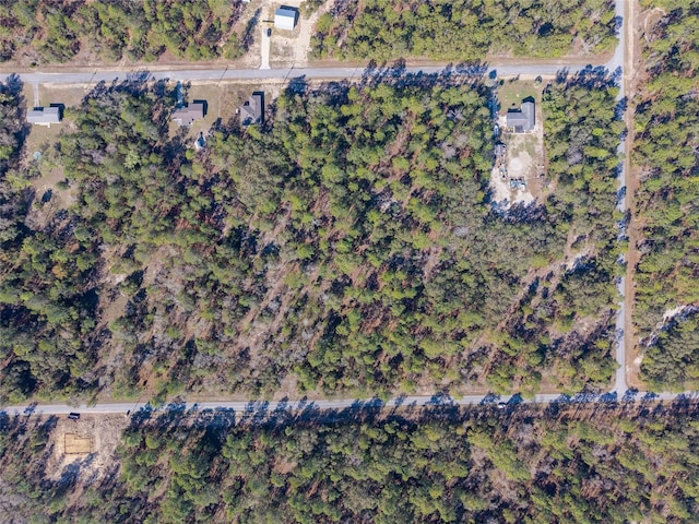 Listing photo 2 for LOT4 SW Fig Tree Ln, Dunnellon FL 34431