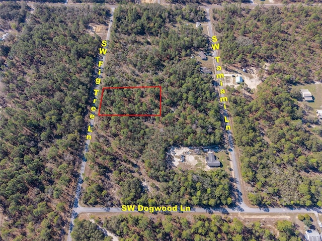 Listing photo 3 for LOT4 SW Fig Tree Ln, Dunnellon FL 34431