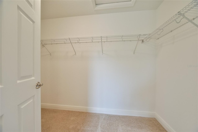 walk in closet with light carpet