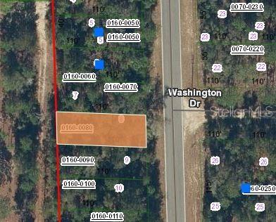 465 Baden Powell Rd, Hawthorne FL, 32640 land for sale