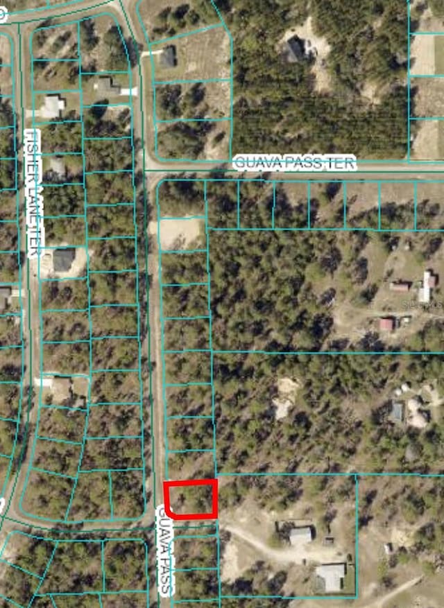 Listing photo 2 for 0 Guava Pass, Ocklawaha FL 32179