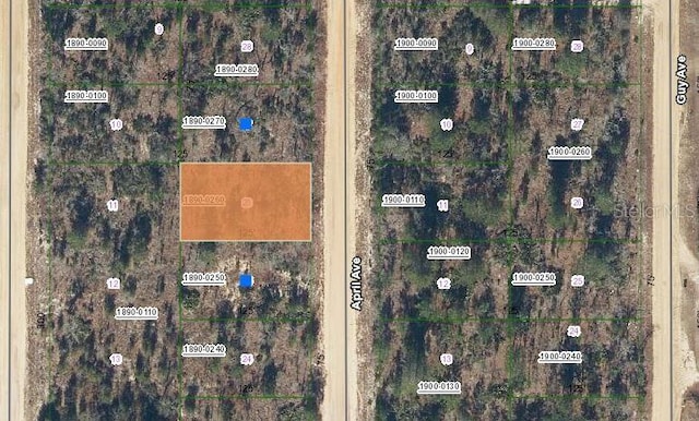 00 April Ave, Interlachen FL, 32148 land for sale