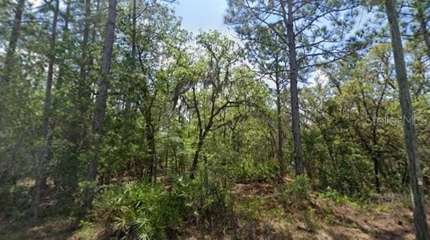 160 Daisy St, Homosassa FL, 34446 land for sale