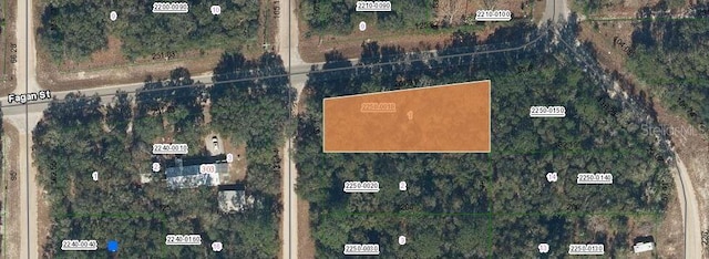 00 Annette Ave, Interlachen FL, 32148 land for sale