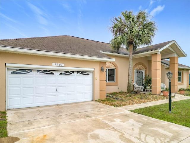 ranch-style house with driveway, roof with shingles, an attached garage, and stucco siding