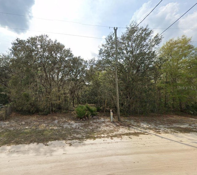 Listing photo 3 for Violet Cir, Interlachen FL 32148