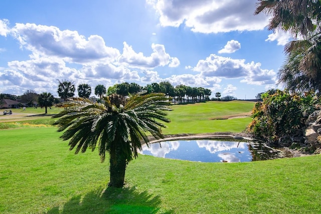 view of property's community with a lawn