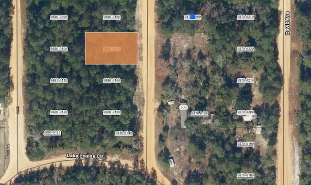 LOT17 Theresa Ave, Interlachen FL, 32148 land for sale