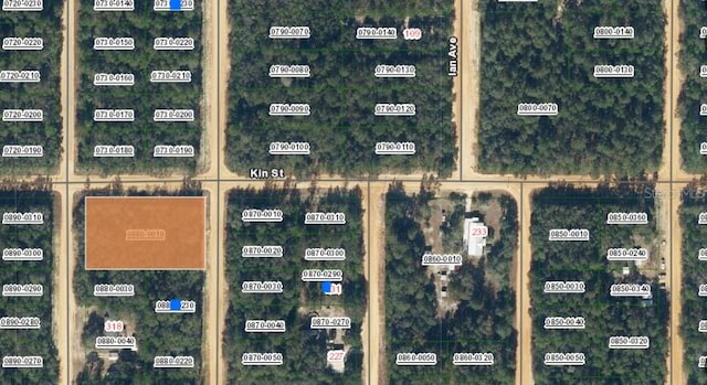 TBD Theresa Ave, Interlachen FL, 32148 land for sale