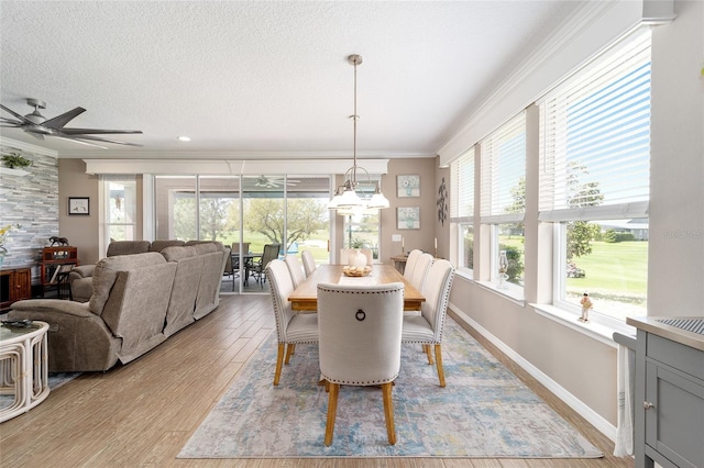 dining room with light wood-style floors, ornamental molding, a ceiling fan, and a textured ceiling