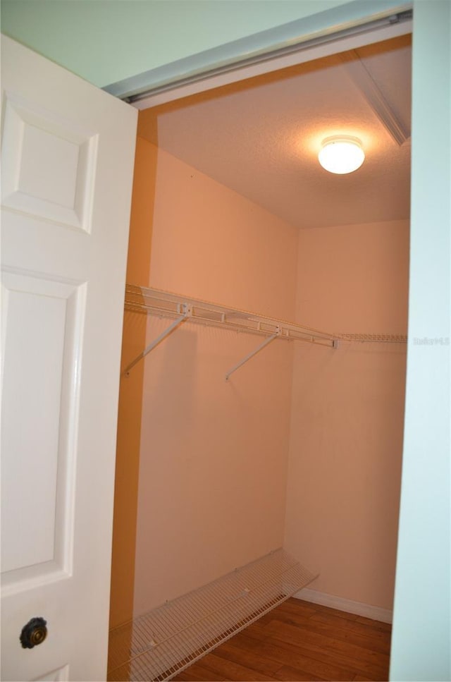 walk in closet featuring wood finished floors