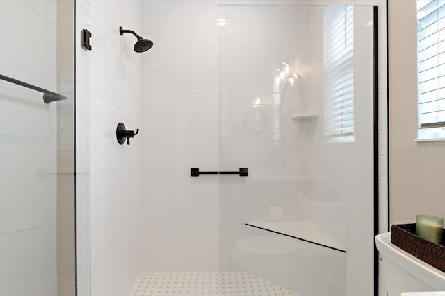 bathroom with toilet and a shower stall