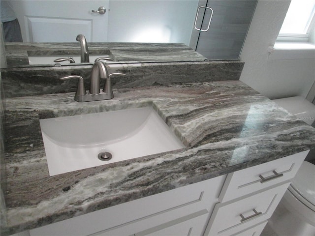 room details with toilet and vanity