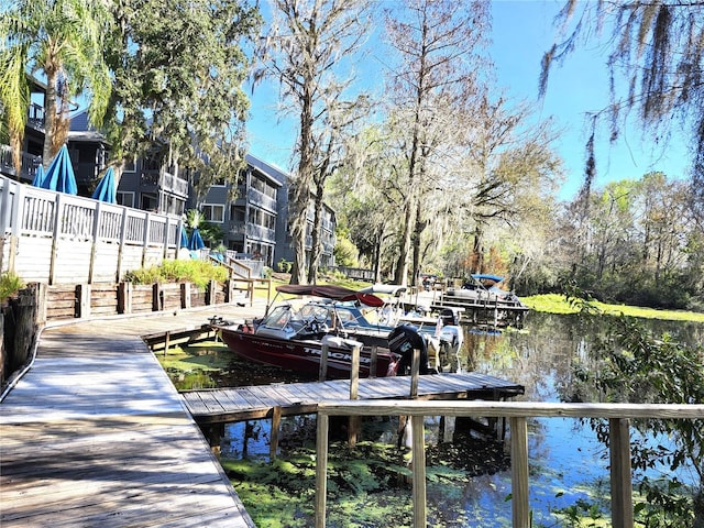 dock area featuring a water view