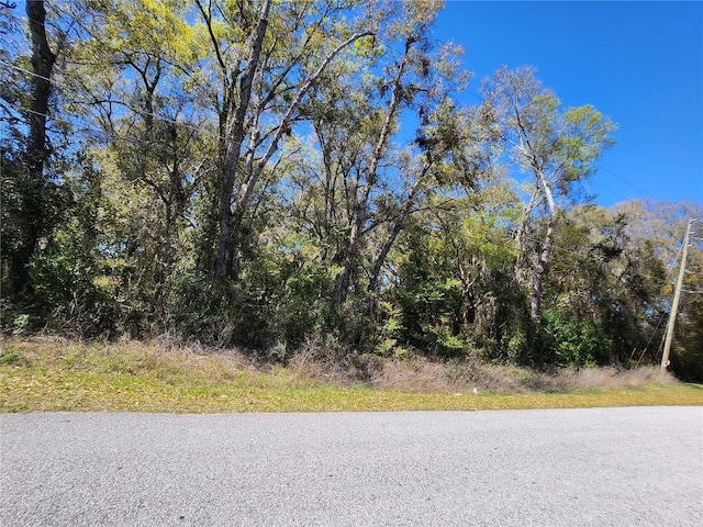 2155 E Citrus Springs Blvd, Citrus Springs FL, 34434 land for sale