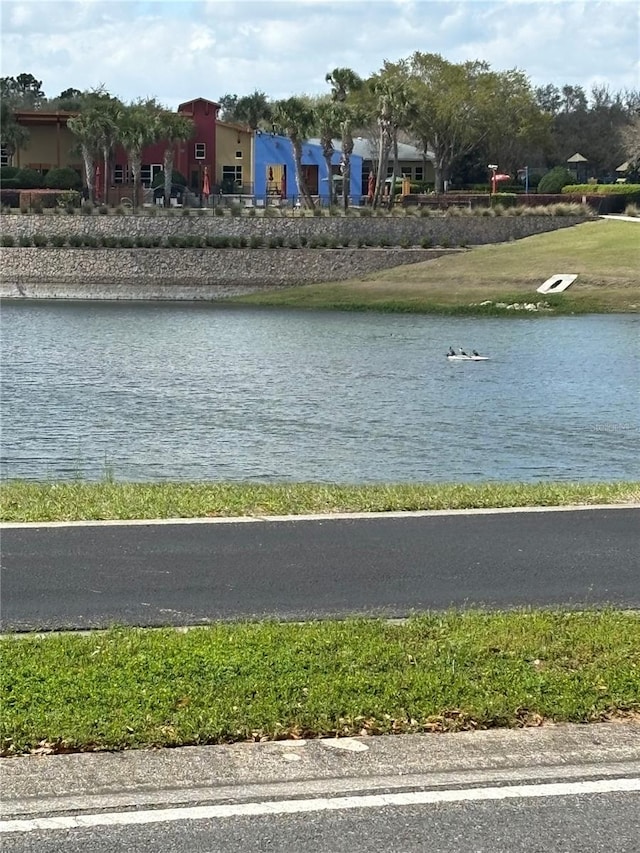 view of water feature