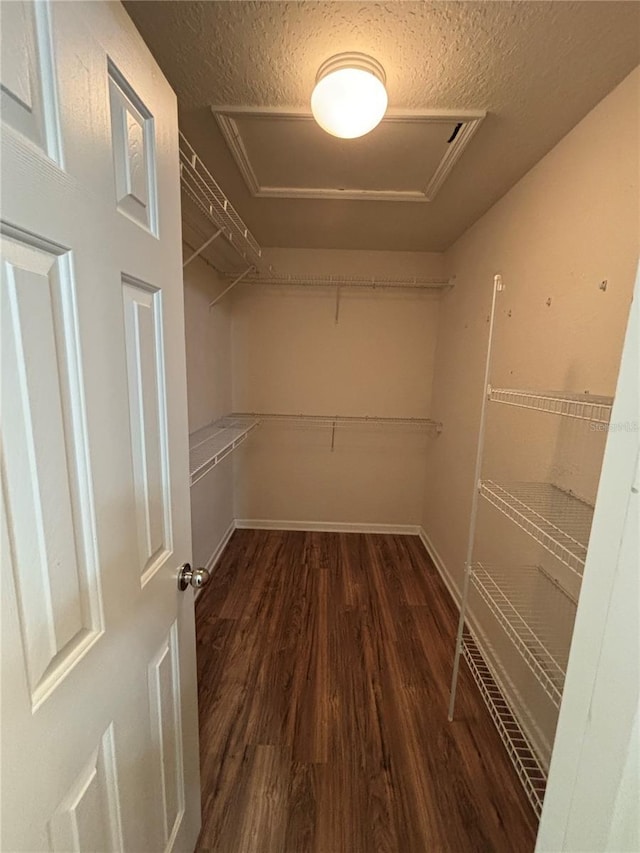 walk in closet with attic access and wood finished floors