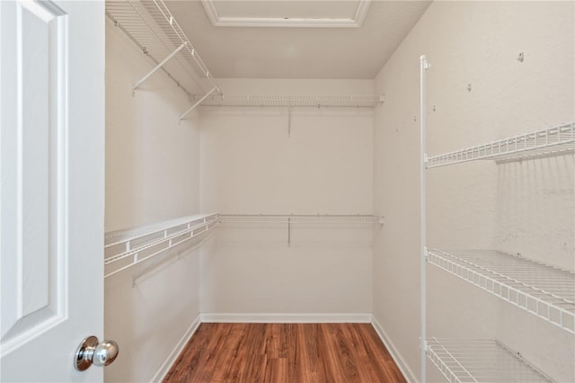 4954 SW 40th Pl, Ocala, FL 34474 - walk in closet with wood finished floors