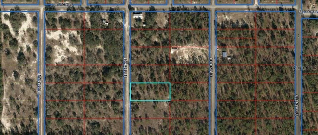 Listing photo 2 for TBD SE 134th Ct, Dunnellon FL 34431